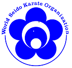 Seido Karate Whangarei
